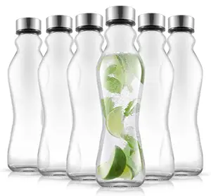 Glass Water Bottles Set of 6-18 oz Glass Bottles with Stainless Steel Caps with Leakproof Lids - Reusable Glass Juice Bottle