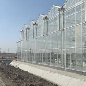 Invernadero de Vidrio Comercial Venlo para <span class=keywords><strong>Cultivo</strong></span> Hidropónico, Invernadero Agrícola de Vidrio con Sistemas de Soporte Completos - Product Image 2