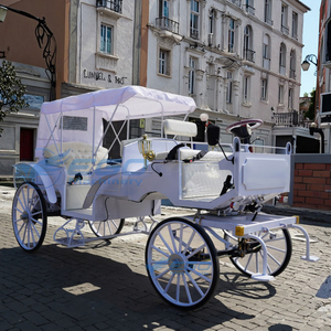 Voiture électrique de tourisme, camion-scène mobile, mini-voiture électrique à vendre - Product Image 1