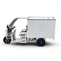 Tricycles de livraison électriques avec caisses de chargement semi-fermées, véhicules de messagerie à batterie (Modèle XH1200DZH-9)