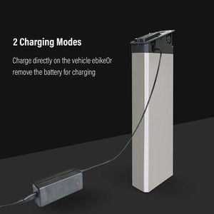 Batterie de remplacement avec chargeur 48V pour vélo électrique 14Ah 36V, pour vélos électriques, vélos pliants, VTT, moteur - Product Image 6