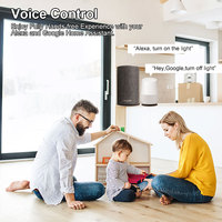 Prix d'usine, vente directe : Module d'interrupteur intelligent mini WiFi Tuya 4 voies Zigbee pour produits de maison connectée DIY Light Life