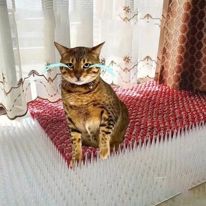 Thân thiện với môi Pet nhựa trong suốt không ướt <span class=keywords><strong>Bird</strong></span> Repeller cho trong nhà ngoài trời kiểm soát chim - Product Image 1