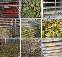 Machine de séchage à pompe à chaleur multifonctionnelle pour la déshydratation des fruits, légumes, poissons, épices, nouilles, équipement de déshydratation