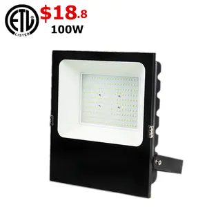 ETL outdoor purple color led flood light 220 volt rgb floodlight 5 years warranty 10-30v dc 10w 20w 35w 50w 70w 100w 150w 300w