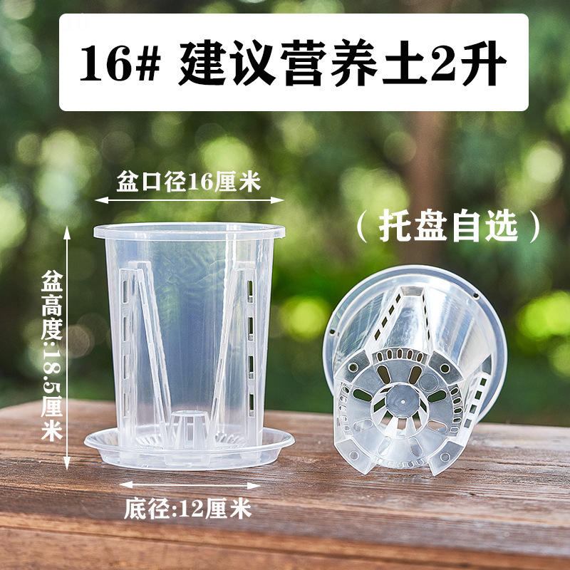 16 pots de 16 cm de diamètre, avec plateau