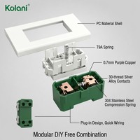 Placa de Pared de Montaje Oculto Kolani 120 de Doble Módulo, Interruptor de un Botón y Enchufe Universal de 3 Pines para Varios Países, Panel Blanco de PC