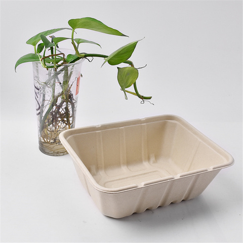 pizza boxes 9x9x3 biodegradable compostable bagasse 3-comp hinged container 200ct sugarcane bagasse containers