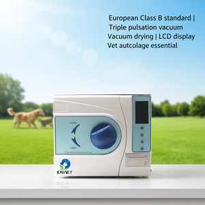Autoclave à vide EUR <span class=keywords><strong>VET</strong></span> Classe B 12L, technologie à triple pulsation, stérilisation haute efficacité, essentiel pour les cliniques vétérinaires - Product Image 1