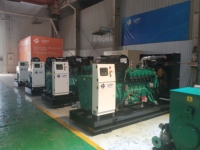 10KW-1000KW Biogas- & Erdgas-Generator mit 24V DC Start, Wassergekühlt für Industrielle Anwendungen
