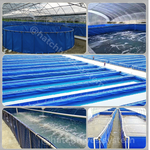 Bâches en toile épaisse HatchHives pour l'élevage de crevettes, d'écrevisses et de homards, avec sortie de drainage, en vente - Product Image 6