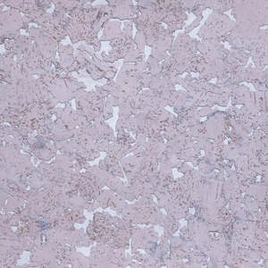 Carreaux muraux en liège 100 % naturels et durables, style Art Déco, Organic Flow 01, liège naturel moderne, épaisseur 3 mm, carreaux muraux décoratifs - Product Image 3