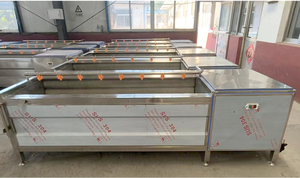 Machine de lavage et de pelage pour racines et tiges, fruits et légumes, machine à polir les carottes à brosse souple, équipement de pelage de pommes de terre - Product Image 5