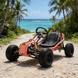 Mini Go Kart Dune Buggy al Mejor Precio para Niños, Todoterreno, Motor de Gasolina, Compacto - Product Image 3