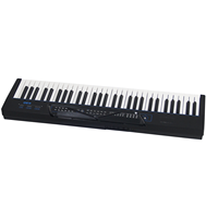 Orgue numérique électrique portable multifonction à 61 touches avec 300 sons et 300 rythmes