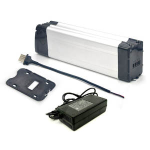 실버 물고기 전자 자전거 48V 20ah 30ah 전기 자전거 배터리 18650/21700 리튬 이온 팩 500W 1000W 1500W 모터 - Product Image 4