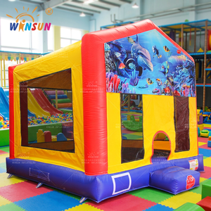 Château gonflable commercial WINSUN pour intérieur et extérieur, trampoline gonflable - Product Image 1