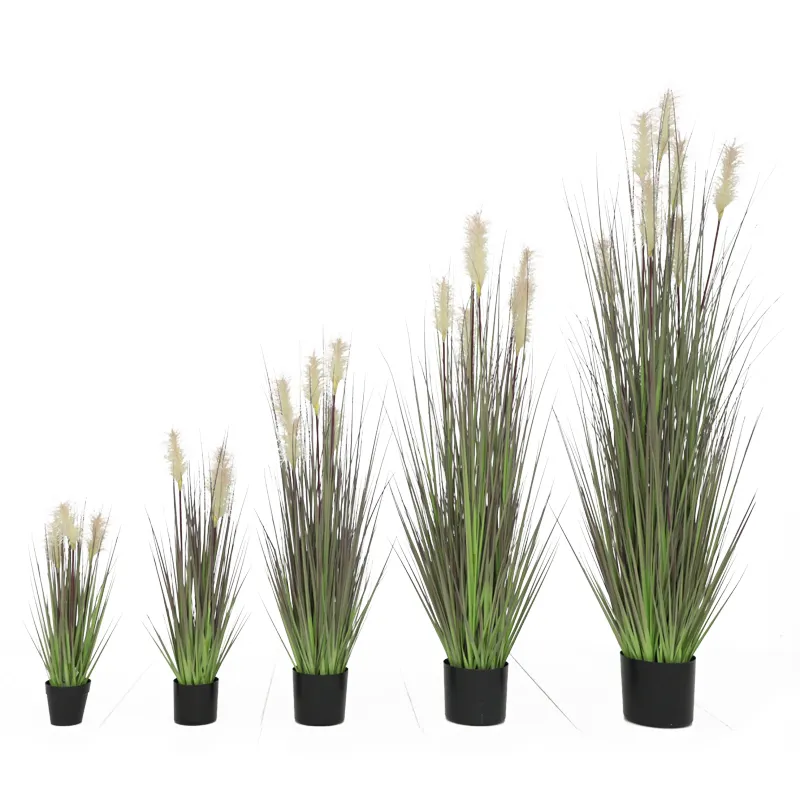 Mini Kunststoff moderne natürliche künstliche grüne Zwiebel Gras Bonsai Pampas Pflanze mit schwarzen Topf