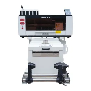 AUDLEY T Shirt 30cm Dtf Printer 2 pieces F1080A1 heads direct to film T shirt printer machine White Ink Label Printer