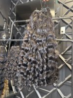 Lot de Cheveux Humains Bruts Non Traités Vietnamiens Lisses Naturels, Cuticules Alignées, Cheveux Vierges, Fournisseur d'Extensions de Cheveux Indiens et Cambodgiens