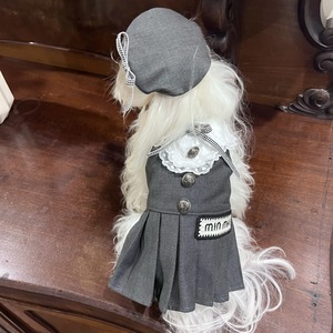 Venta al por mayor <span class=keywords><strong>de</strong></span> vestido <span class=keywords><strong>de</strong></span> lujo para mascotas Elegante ropa para <span class=keywords><strong>perros</strong></span> pequeños Otoño Invierno cálido perro gato ropa <span class=keywords><strong>de</strong></span> diseñador - Product Image 3
