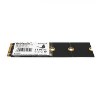 Goldenfir Factory HD800 NGFF M.2 Sata Internal 60GB 64GB 120GB 128GB 240GB 256GB 480GB 512GB 1TB Ssd perangkat keras