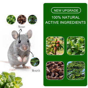 24 Pack Natural Peppermint Oil <b>Mice</b> Balls for Rodents <b>Mouse</b> Repellent Best Deterrent for Rats Basement Attic Office Garages - Product Image 2