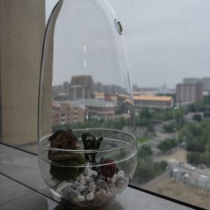 Vaso Terrario da Tavolo <span class=keywords><strong>con</strong></span> Cupola <span class=keywords><strong>in</strong></span> <span class=keywords><strong>Vetro</strong></span>, Fori di Ventilazione e Base per Esposizione di Piante e <span class=keywords><strong>Fiori</strong></span>, Decorazione <span class=keywords><strong>Centrotavola</strong></span> 12*25cm - Product Image 4