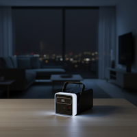 Batterie externe de camping en plein air 80000mAh 100000mAh, chargeur portable grande capacité avec câble intégré et lumière LED