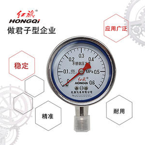 Manómetro de Acero Inoxidable Hongqi de 60 mm, Conexión M14 1.5, Precisión 2.5, para Uso Industrial - Product Image 2