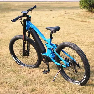 2019 새로운 블루 전자 자전거 48V 1000W Bafang 중반 드라이브 게이트 벨트 사냥 전기 자전거