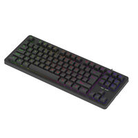 Clavier filaire 87 touches rétroéclairé par LED d'usine OEM Interface USB compacte personnalisée en plastique pour ordinateur portable de bureau Effets LED arc-en-ciel
