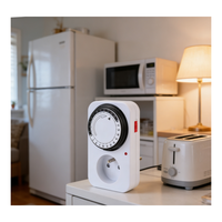 Temporizador Mecánico de 24 Horas con Enchufe Francés 16A 220V-240V, Programable, Ecológico, de Plástico, para Electrodomésticos, Ahorro de Energía