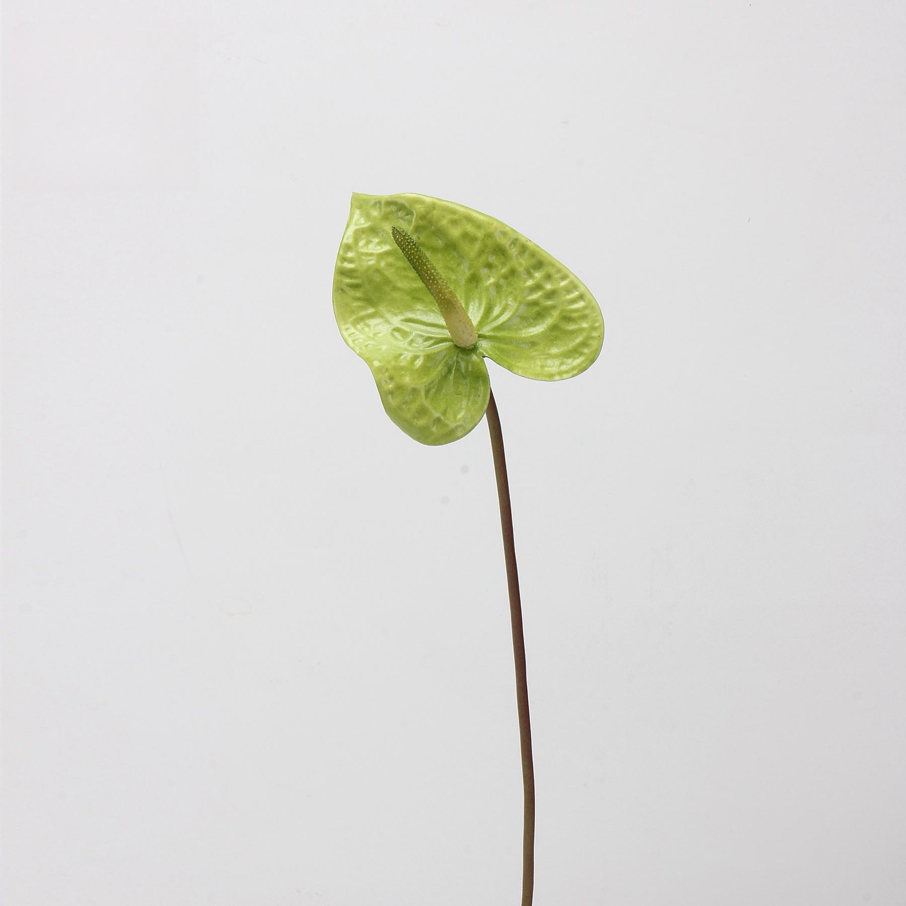 สีเขียว