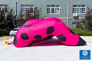 Aero 2024 yeni tasarım şişme büyük ağız çiçek canavar özelleştirilmiş ürünler açık olay interaktif dekorasyon şişme - Product Image 6