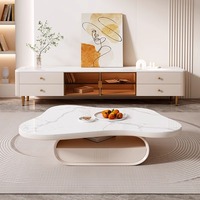 Ensemble de meuble TV et table basse en bois avec plateau en marbre moderne et luxueux, carré, pour le salon, décoration blanche, design de meubles, dernier cri