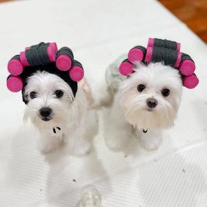 En stock, pelucas rizadas de estilo coreano, cortes de pelo y disfraces para perros, gatos y perros pequeños. - Product Image 2