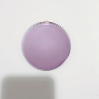 1.56 Lentilles de lunettes de soleil HMC photochromiques à vision unique en couleurs claires violet bleu rose vert orange marron gris