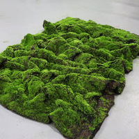 Tapis d'herbe artificielle écologique au design artistique moderne, plante artificielle ornementale pour Pâques, mariage, extérieur, terrain de football