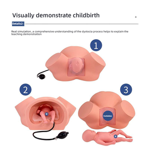 Modelo Avanzado de Demostración de Distocia, Simulador de Entrenamiento para Parto con Pelvis y Feto Ajustables - Product Image 2