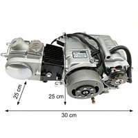 Moteur refroidi par eau CQSP CD 70 Type 150-300cc pour moto et tricycle cargo à trois roues, finition cylindre argentée, homologué CCC