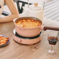 Vente chaude de bonne qualité approvisionnement direct d'usine prix de gros Mini cuisinière à induction 1200W