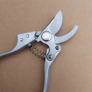 กรรไกรตัดแต่งกิ่ง V10 ใบมีดสแตนเลสเอสเค-5 ขนาด 20-30 มม. สำหรับต้นไม้ผลไม้ จัดสวน สีเทา - Product Image 5