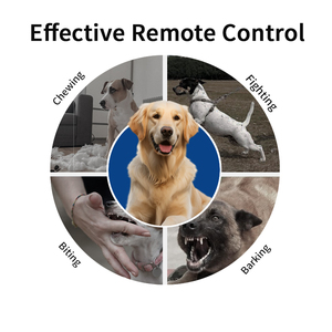 Hochwertiges IP67 wasserdichtes Remote-Hunde trainings halsband Kunststoff-Schock halsband mit 300m Reichweite Pet Tracker <span class=keywords><strong>Dog</strong></span> Trainer - Product Image 5