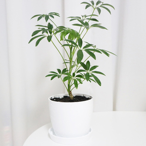 Pot de fleurs rond à arrosage par le bas Plafarm JWPL0038, gris foncé, en PP, avec réservoir d'eau, pour intérieur, extérieur, balcon, jardin, vente en gros - Product Image 4