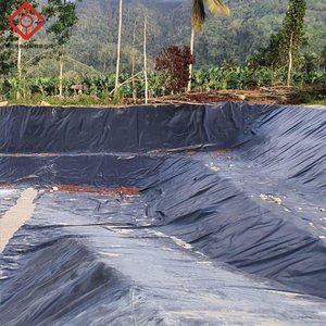 Offre Spéciale : <span class=keywords><strong>Bâche</strong></span> de bassin <span class=keywords><strong>1mm</strong></span> en <span class=keywords><strong>EPDM</strong></span>/HDPE, Membrane Géomembrane Imperméable pour Fondations et Bassins de Pêche - Product Image 1
