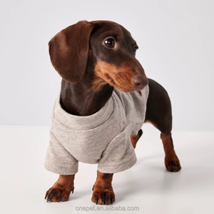 Abbigliamento per Animali Domestici con Logo Personalizzato del Marchio, Pigiami Firmati per Cani, Fornitore di Abbigliamento per Bichon Frisé e Bassotto - Product Image 5