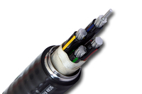 Aluminium-Kupfer XLPE PVC 35mm² 4-adriges 0,6/1KV Niederspannungs-Baukabel der Marke Yuekai mit ISO/CE-Zertifizierung