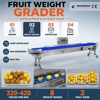 Industriële Meerkanaals Gewichtssorteerder RVS 304 Weegnauwkeurigheid 0,1 g voor Fruit Citroenen Kiwi Pakstation Verwerkingslijn