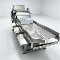 Machine à broyer les céréales de qualité alimentaire industrielle avec système de pulvérisation électrique pour usine de transformation alimentaire